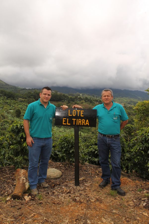 High Altitude Coffee vs Low Elevation Coffee Cultivation