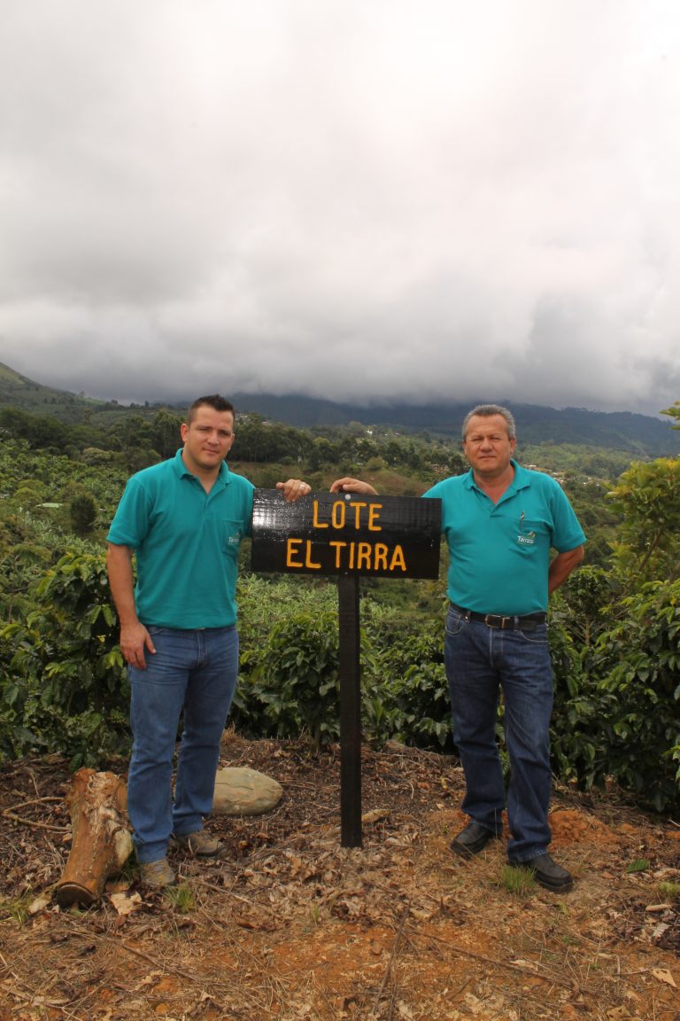 High Altitude Coffee vs Low Elevation Coffee Cultivation
