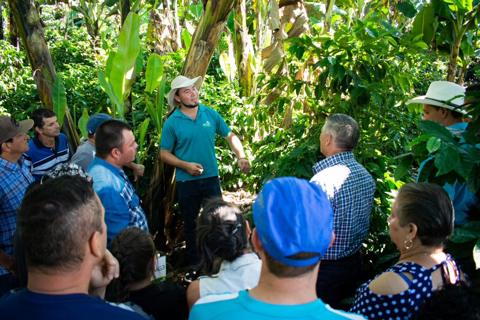 Picture of Fair Trade Coffee from Costa Rica - Fair Trade Coffee Roaster