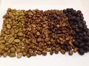 Tarrazu Green Coffee Beans that have been processed four different ways : wet (washined), semi-wet (honey), and dry (natural) process